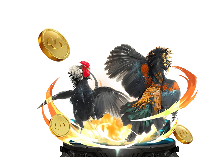 Hoàn trả cược hàng tuần không giới hạn